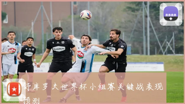 舒库罗夫世界杯小组赛关键战表现预测