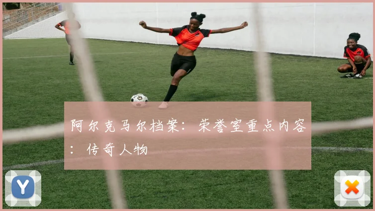 阿尔克马尔档案:荣誉室重点内容:传奇人物