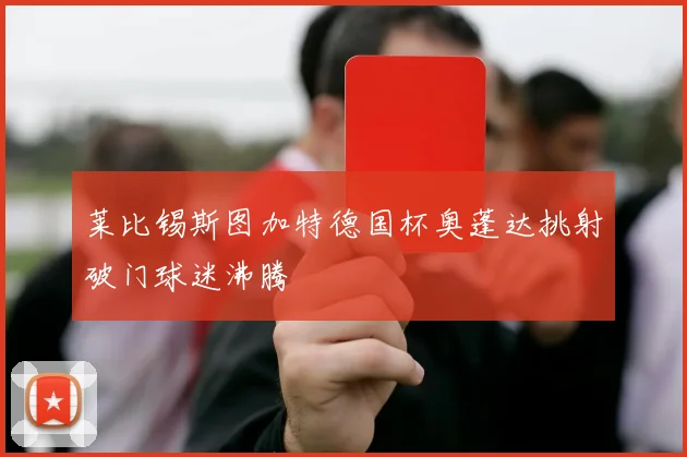 莱比锡斯图加特德国杯奥蓬达挑射破门球迷沸腾