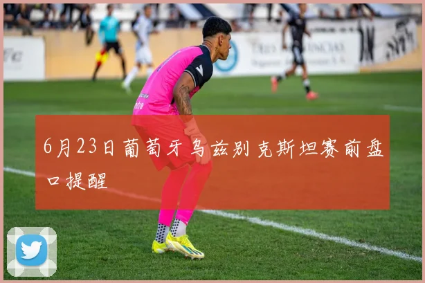 6月23日葡萄牙乌兹别克斯坦赛前盘口提醒
