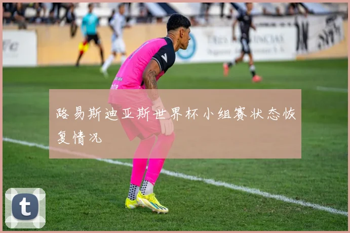 路易斯迪亚斯世界杯小组赛状态恢复情况